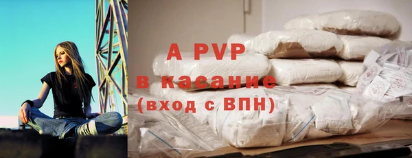 PSILOCYBIN Богданович