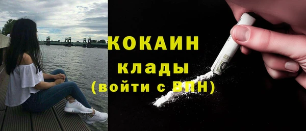 ALPHA PVP Богородицк