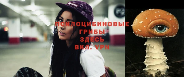 трава Бугульма