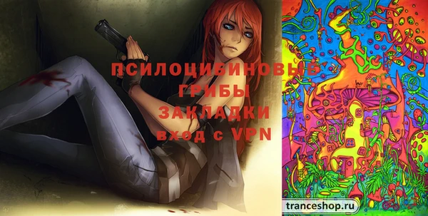 PSILOCYBIN Богданович