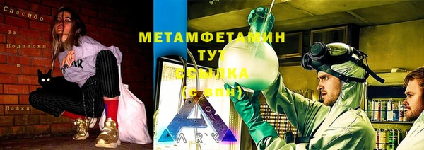 PSILOCYBIN Богданович