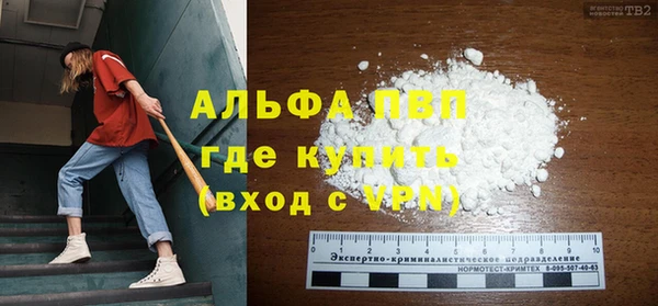 PSILOCYBIN Богданович