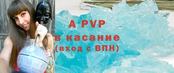 PSILOCYBIN Богданович