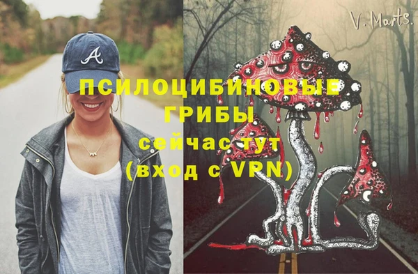 MDMA Бородино