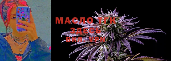 PSILOCYBIN Богданович
