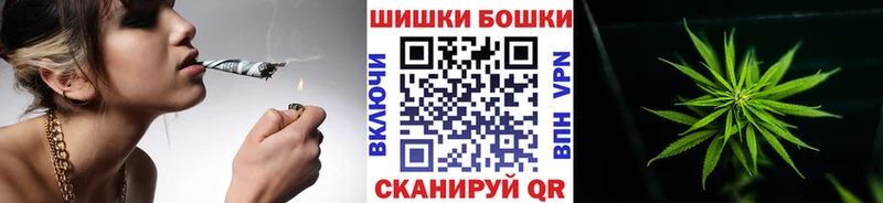 Конопля SATIVA & INDICA  закладка  Комсомольск-на-Амуре 